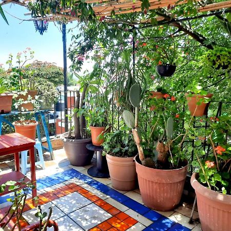 La Terraza Del Pochote Oaxaca Ngoại thất bức ảnh