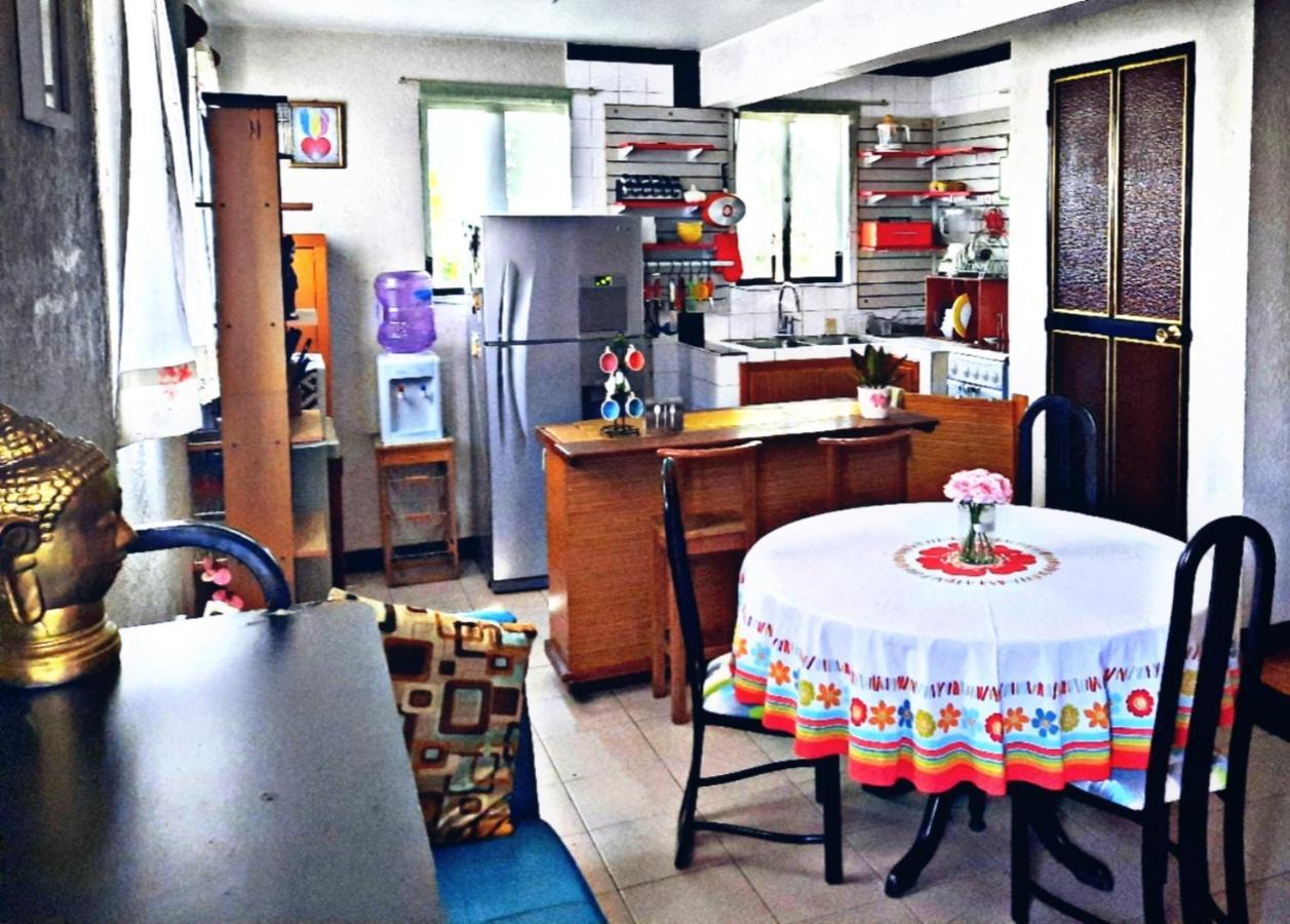 La Terraza Del Pochote Oaxaca Ngoại thất bức ảnh